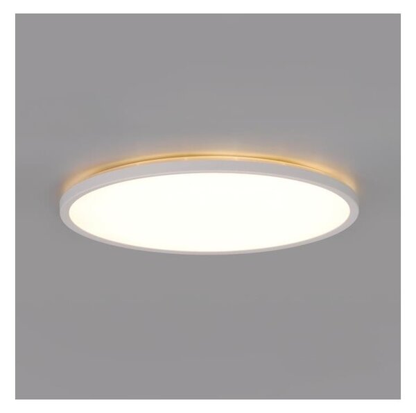 LED Koupelnové stropní svítidlo NIVERA LED/12W/230V IP54 pr. 22,5 cm bílá