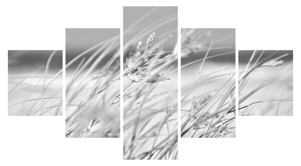 Obraz - Plážová tráva (125x70 cm)