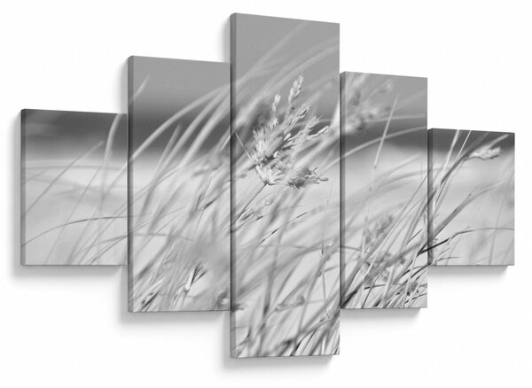 Obraz - Plážová tráva (125x70 cm)