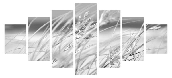 Obraz - Plážová tráva (210x100 cm)
