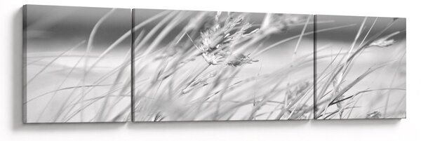 Obraz - Plážová tráva (170x50 cm)