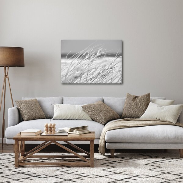 Obraz - Plážová tráva (70x50 cm)