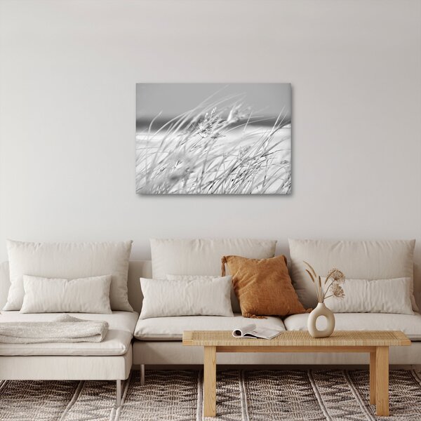 Obraz - Plážová tráva (70x50 cm)