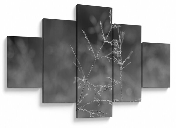 Obraz - Venkovská louka (125x70 cm)