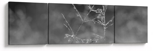 Obraz - Venkovská louka (170x50 cm)