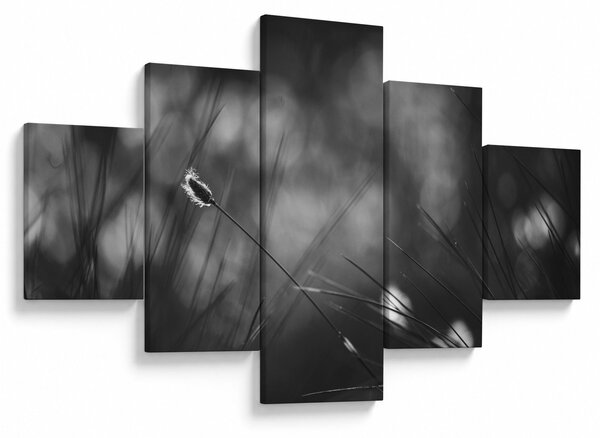 Obraz - Luční tráva (125x70 cm)