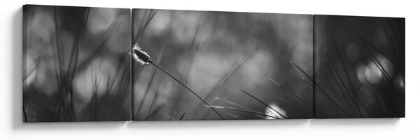 Obraz - Luční tráva (170x50 cm)