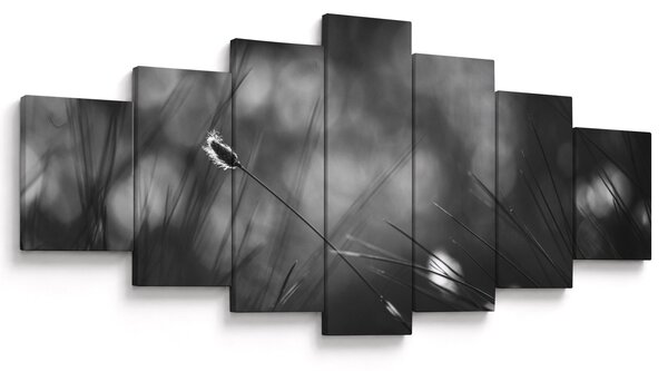 Obraz - Luční tráva (210x100 cm)