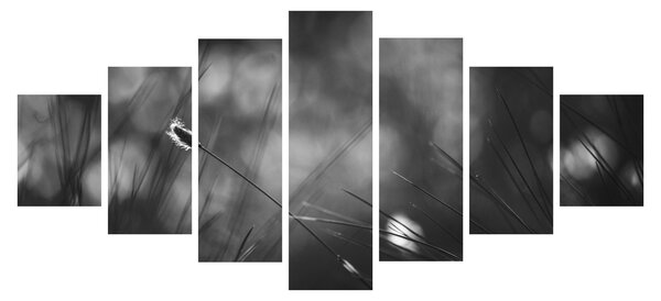 Obraz - Luční tráva (210x100 cm)