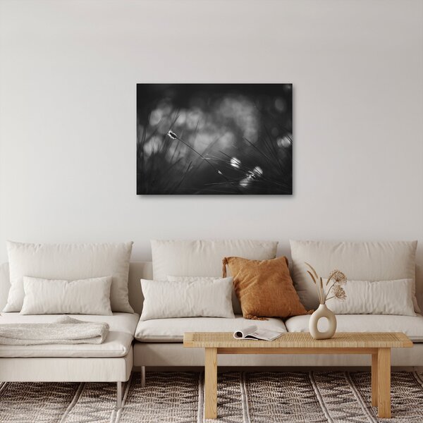 Obraz - Luční tráva (70x50 cm)