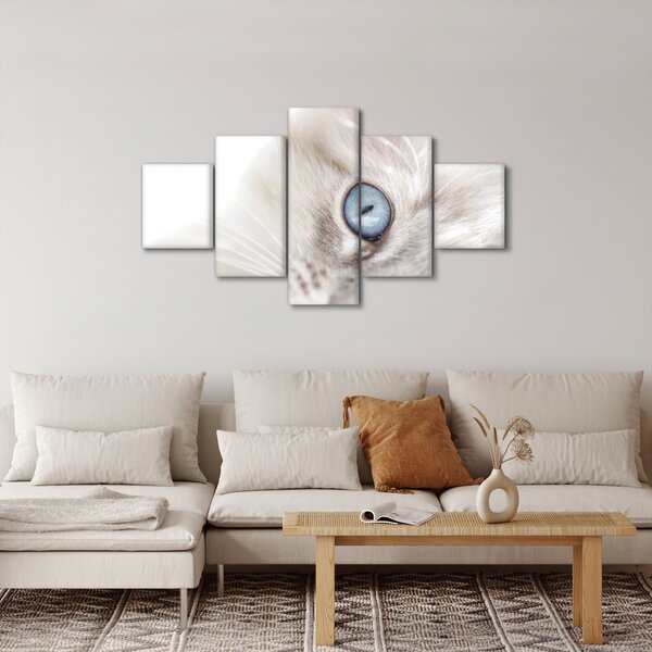 Obraz - Kočka s modrýma očima (125x70 cm)