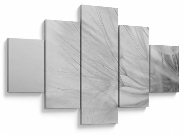 Obraz - Pampeliška (125x70 cm)