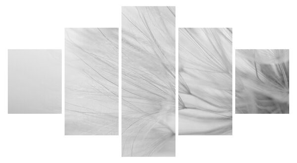 Obraz - Pampeliška (125x70 cm)