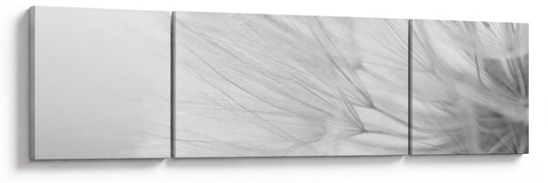 Obraz - Pampeliška (170x50 cm)