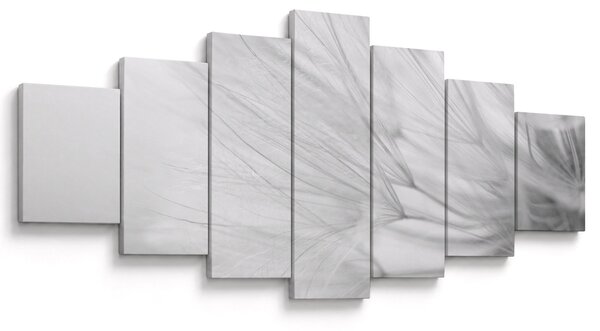 Obraz - Pampeliška (210x100 cm)
