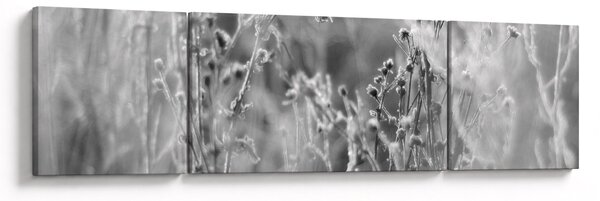 Obraz - Divoká louka (170x50 cm)