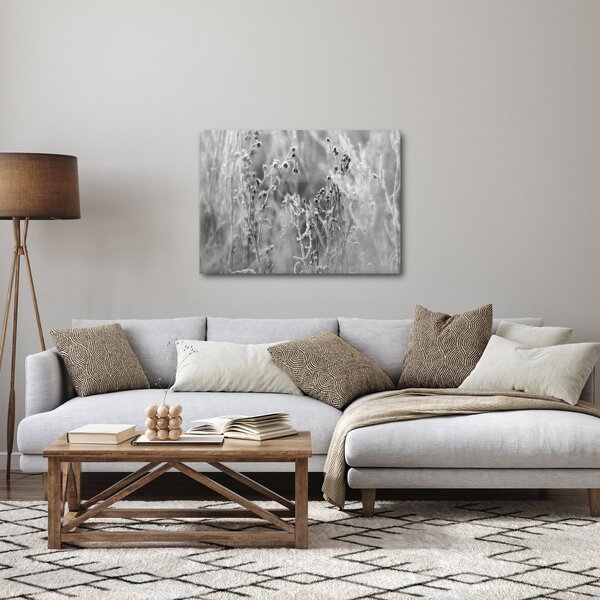 Obraz - Divoká louka (70x50 cm)