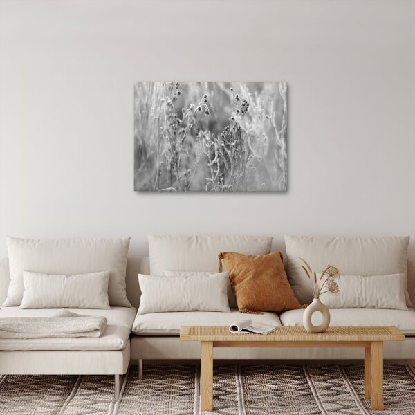 Obraz - Divoká louka (70x50 cm)