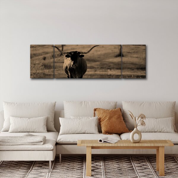 Obraz - Texaská kráva (170x50 cm)