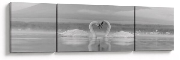 Obraz - Zamilované labutě (170x50 cm)