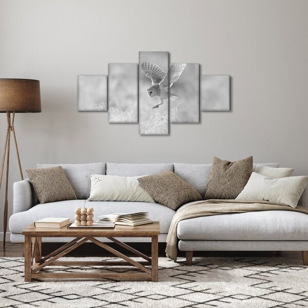 Obraz - Sova v poli (125x70 cm)