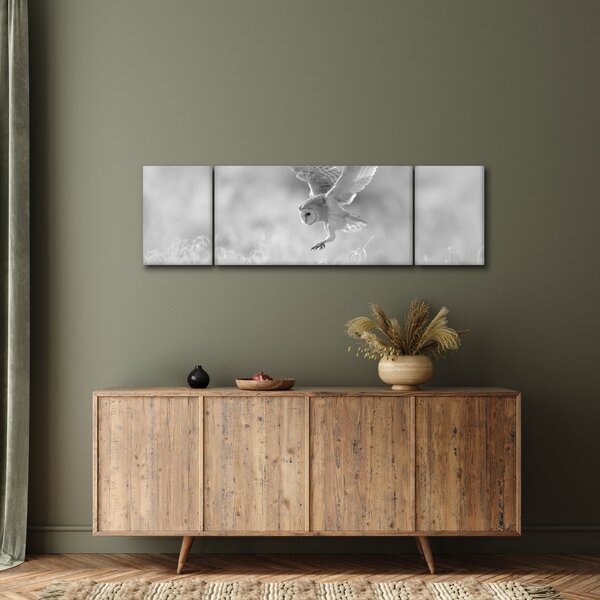 Obraz - Sova v poli (170x50 cm)