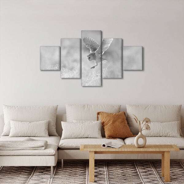 Obraz - Sova v poli (125x70 cm)