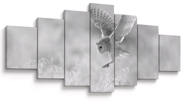 Obraz - Sova v poli (210x100 cm)