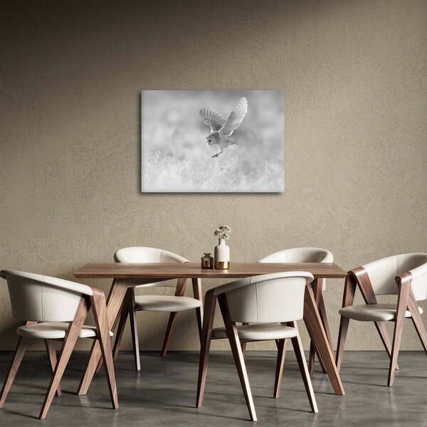 Obraz - Sova v poli (70x50 cm)