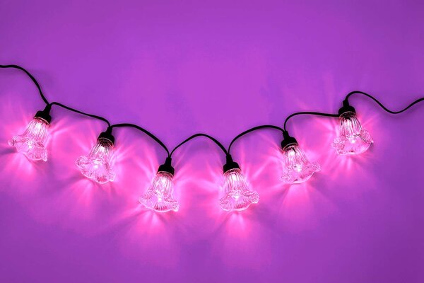 Světelný řetěz – květy povijnice, růžová, 10 m, 10 LED