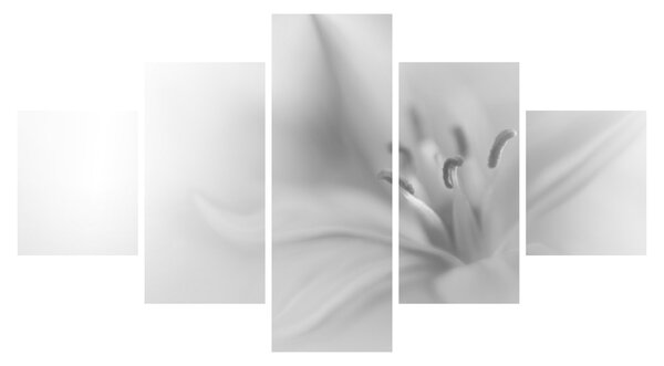 Obraz - Jemná lilie (125x70 cm)