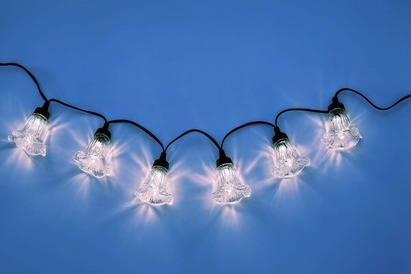 Světelný řetěz – květy povijnice, studená bílá, 10 m, 10 LED