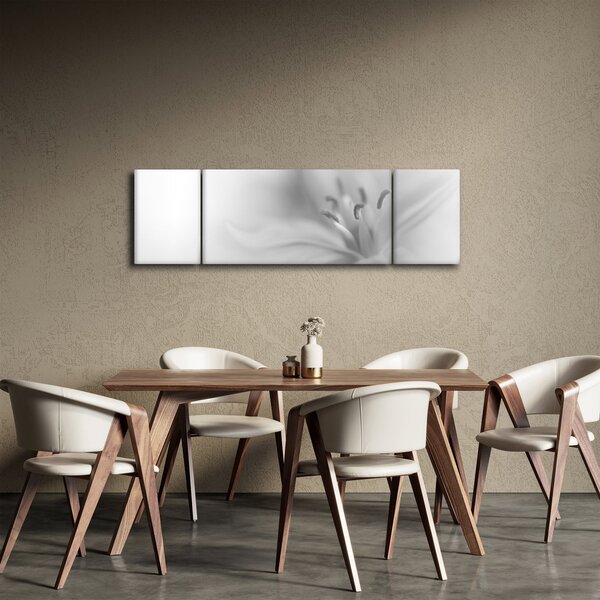 Obraz - Jemná lilie (170x50 cm)