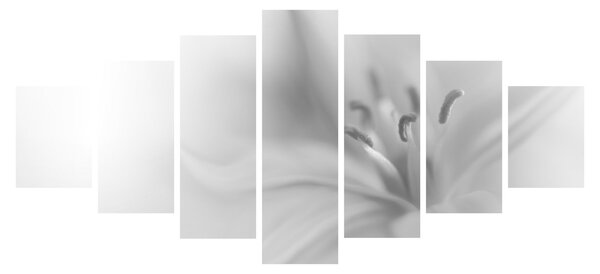 Obraz - Jemná lilie (210x100 cm)