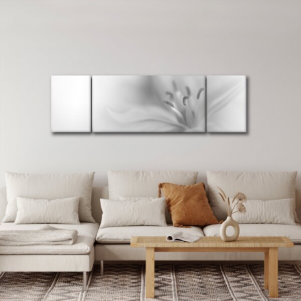 Obraz - Jemná lilie (170x50 cm)