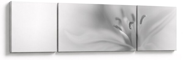 Obraz - Jemná lilie (170x50 cm)