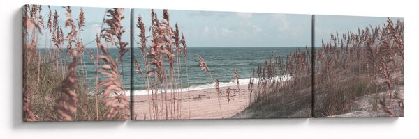 Obraz - Růžová pláž (170x50 cm)