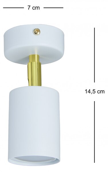 Light for home - SPOTG/1KB SPOTEYE GOLD, 1xGU10/35W, bilá, 1x35W, Bílá