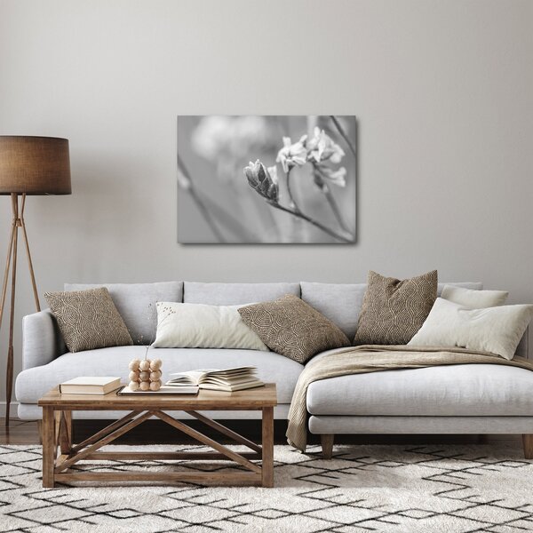 Obraz - Rozkvetlá květina (70x50 cm)