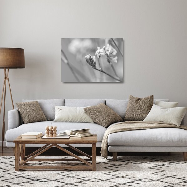 Skleněný obraz - Rozkvetlá květina (70x50 cm)