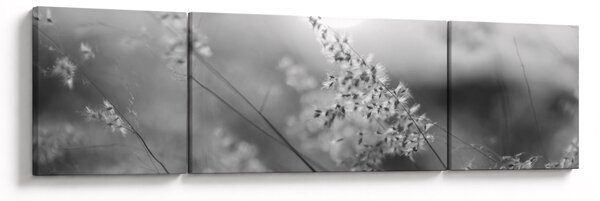 Obraz - Podzimní louka (170x50 cm)