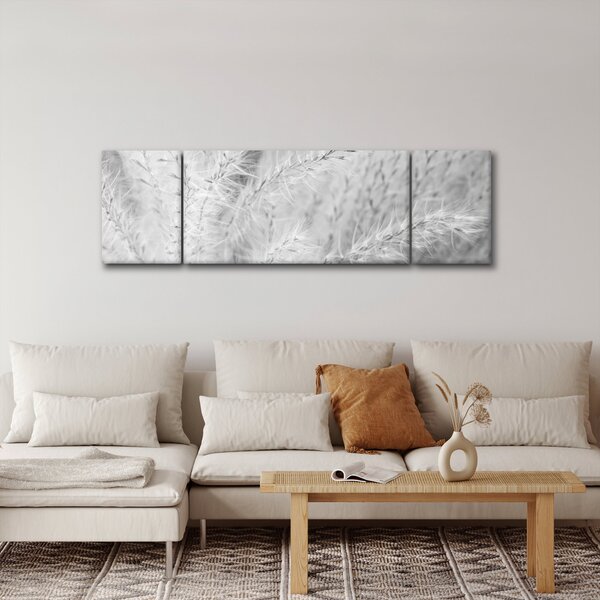 Obraz - Pampas grass N⁰1 (170x50 cm)
