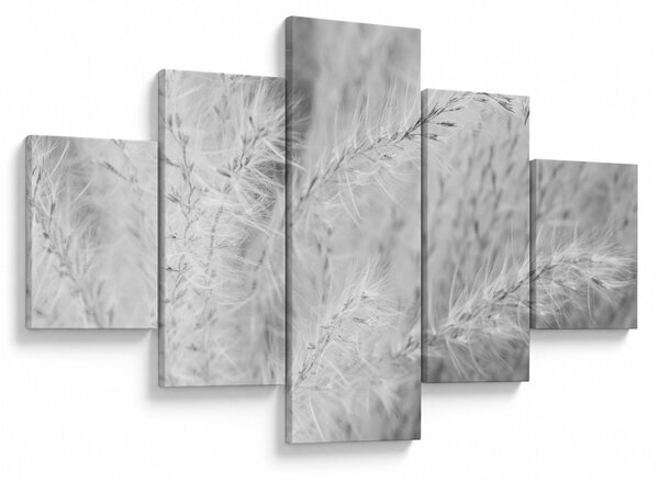 Obraz - Pampas grass N⁰1 (125x70 cm)