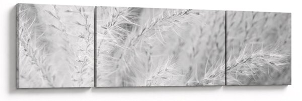 Obraz - Pampas grass N⁰1 (170x50 cm)
