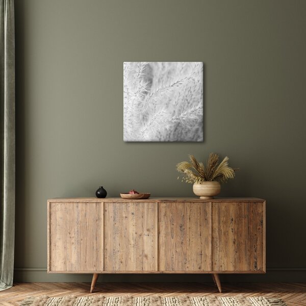 Obraz - Pampas grass N⁰1 (30x30 cm)