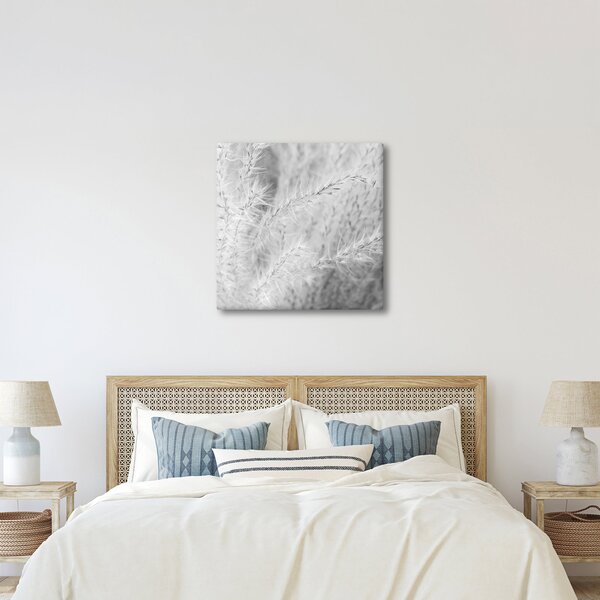 Obraz - Pampas grass N⁰1 (30x30 cm)