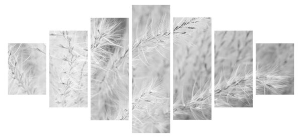 Obraz - Pampas grass N⁰1 (210x100 cm)