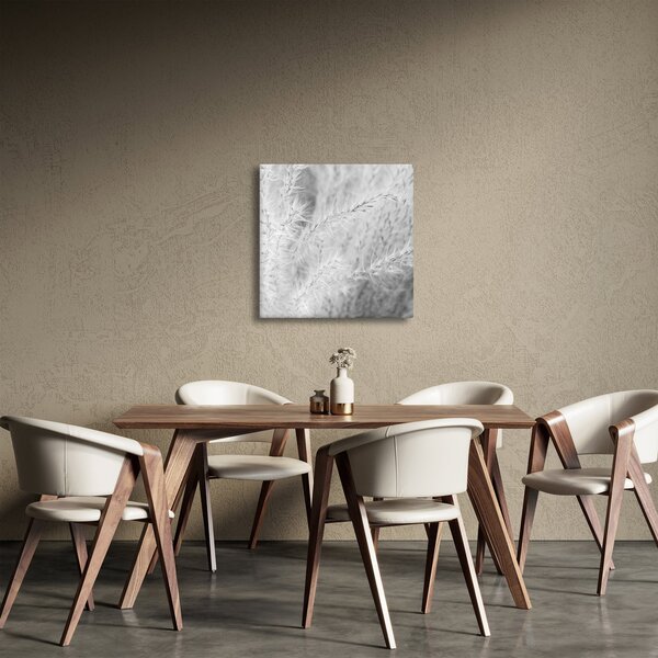 Obraz - Pampas grass N⁰1 (30x30 cm)