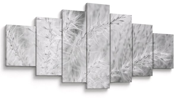 Obraz - Pampas grass N⁰1 (210x100 cm)