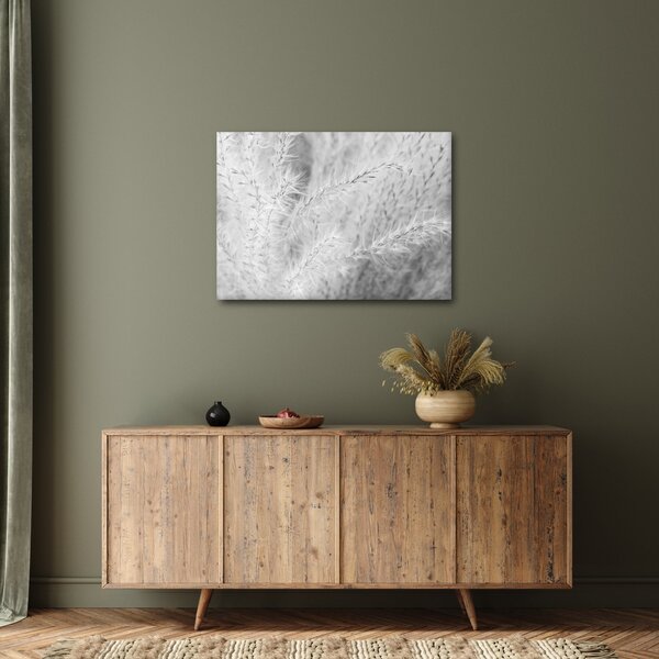 Obraz - Pampas grass N⁰1 (70x50 cm)